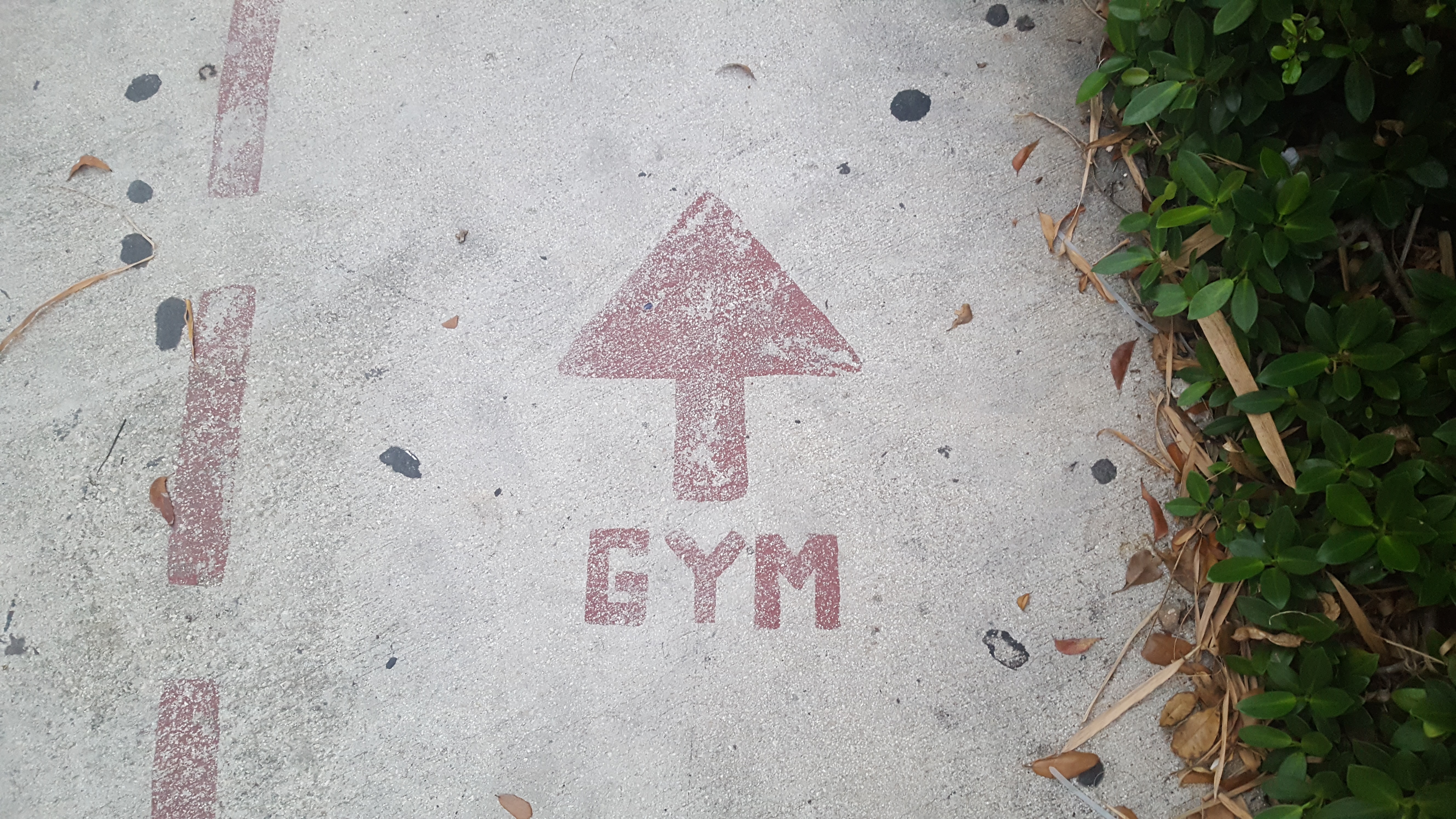 location of gym