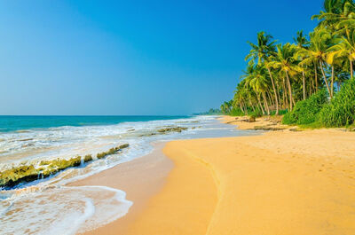 Islands of the Caribbean