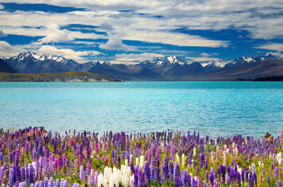Southern New Zealand