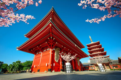 Road to Tokyo