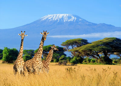 Around Africa