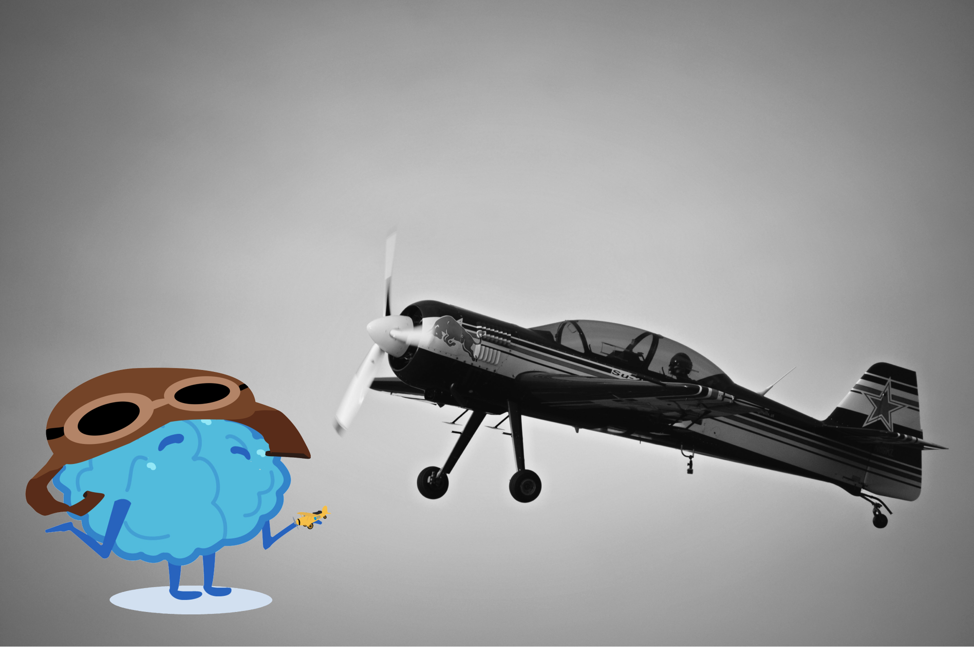 84 Different Spellings of Amelia Earhart (and 17 More Insights from 1 Million Trivia Responses)