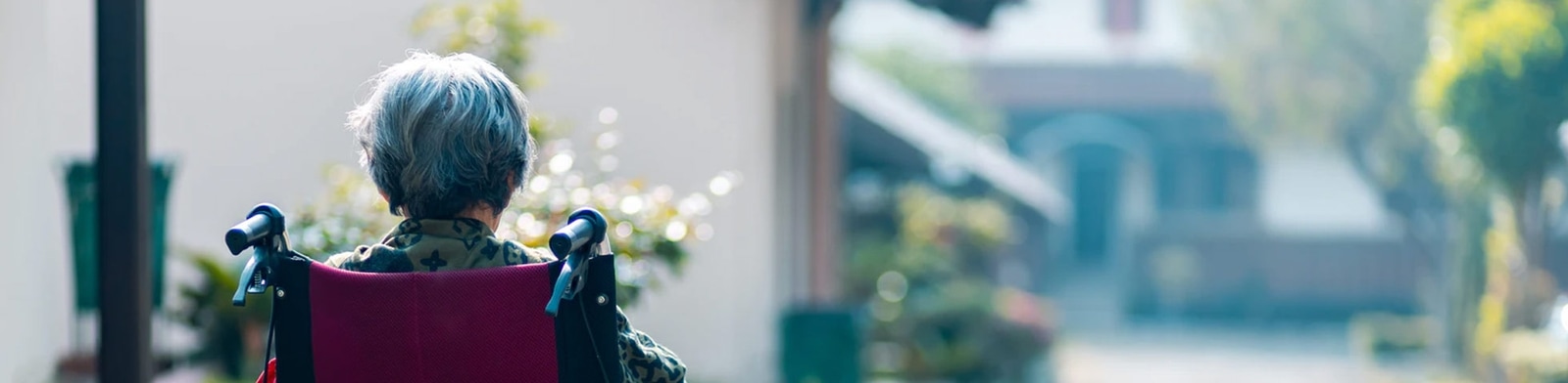 Novasbe thesis image