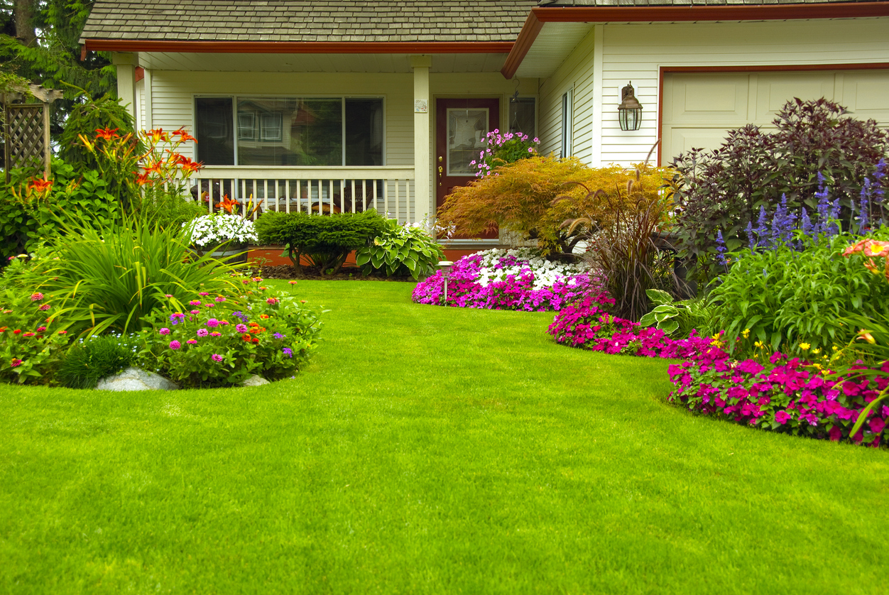 Add New Landscaping to Increase Property Value