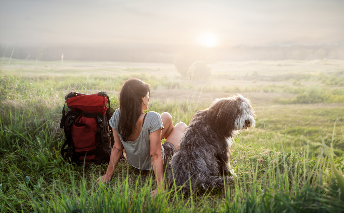 Pet-Friendly Areas Add Value to Your Vacation Rental Property