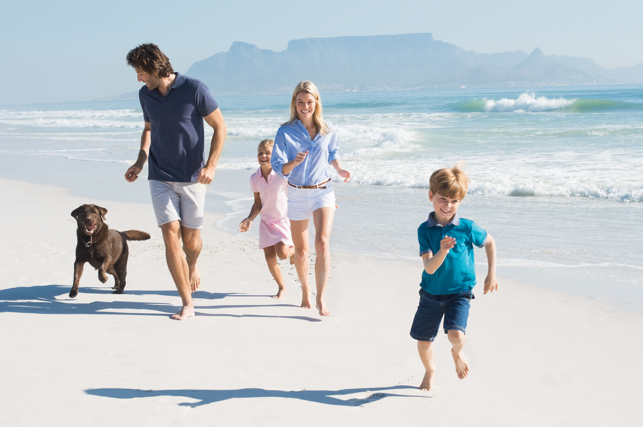 Pet Owners Need Pet-Friendly Accommodations