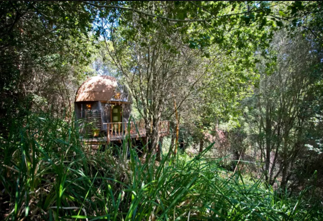 Mushroom Cabin - 7 Alternative Accommodations Airbnb Futurestay