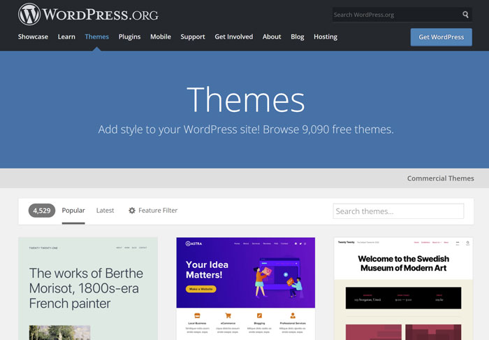 WordPress themes
