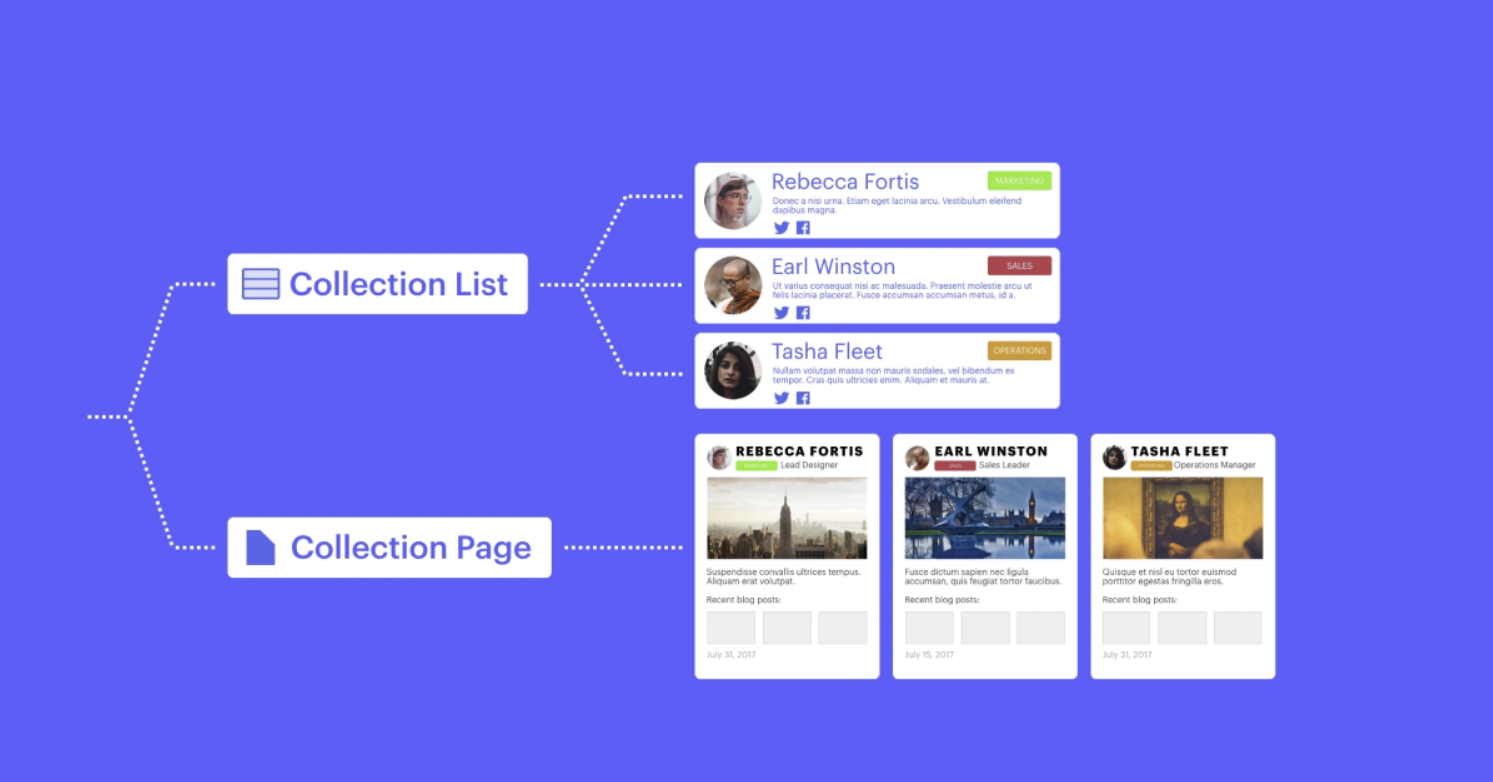 Collection list and Collection Pages in Webflow