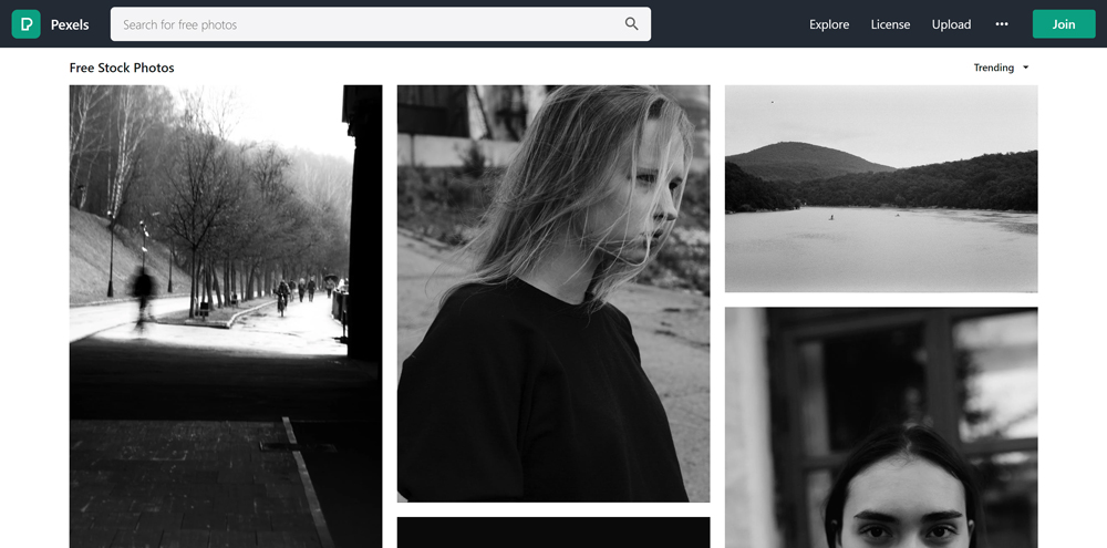 Pexels landing page and photo grid