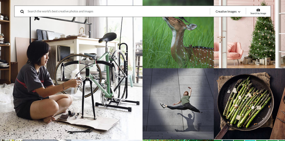 Getty Images collection search