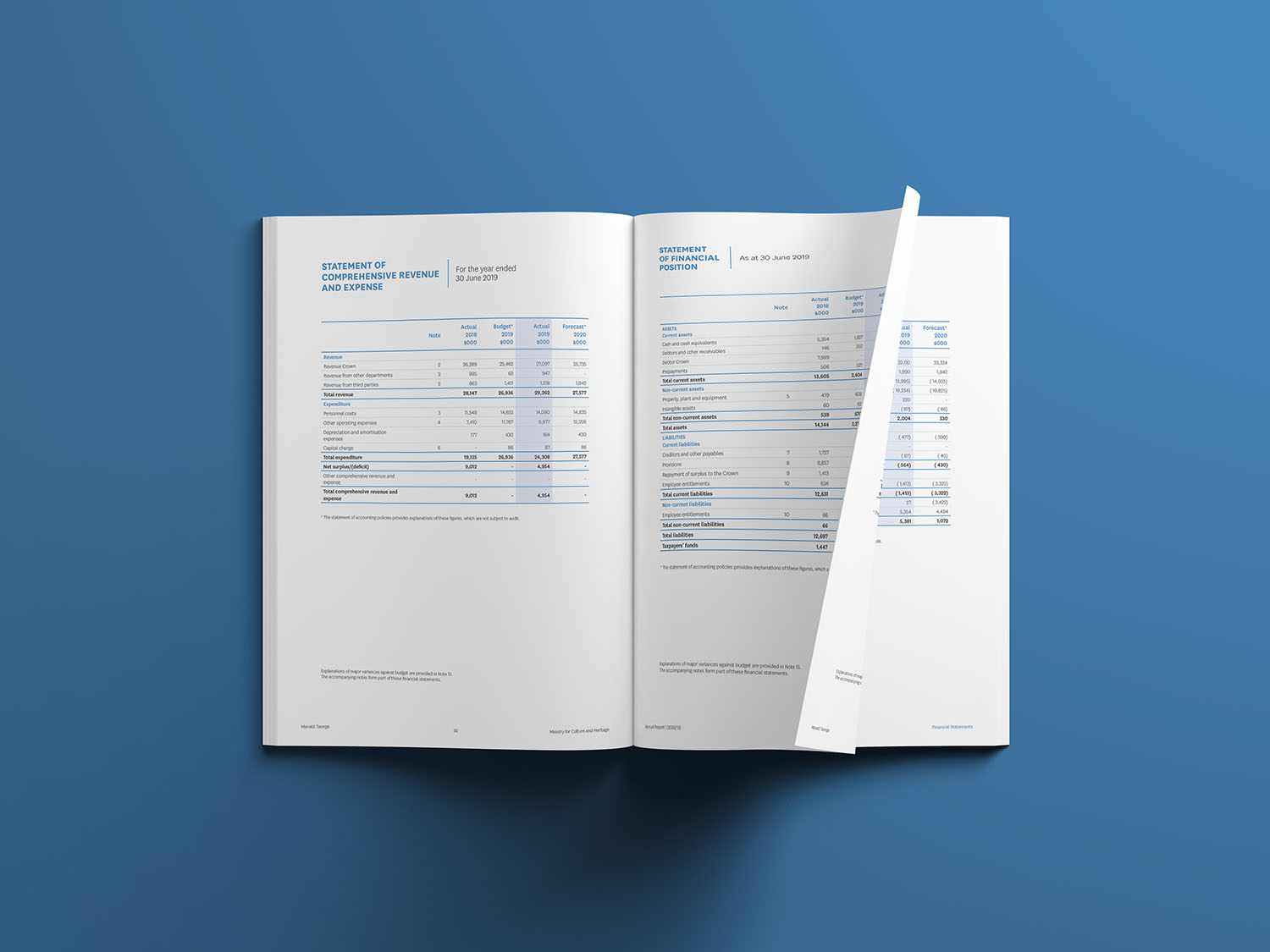 Manatu Taonga Annual Report financials