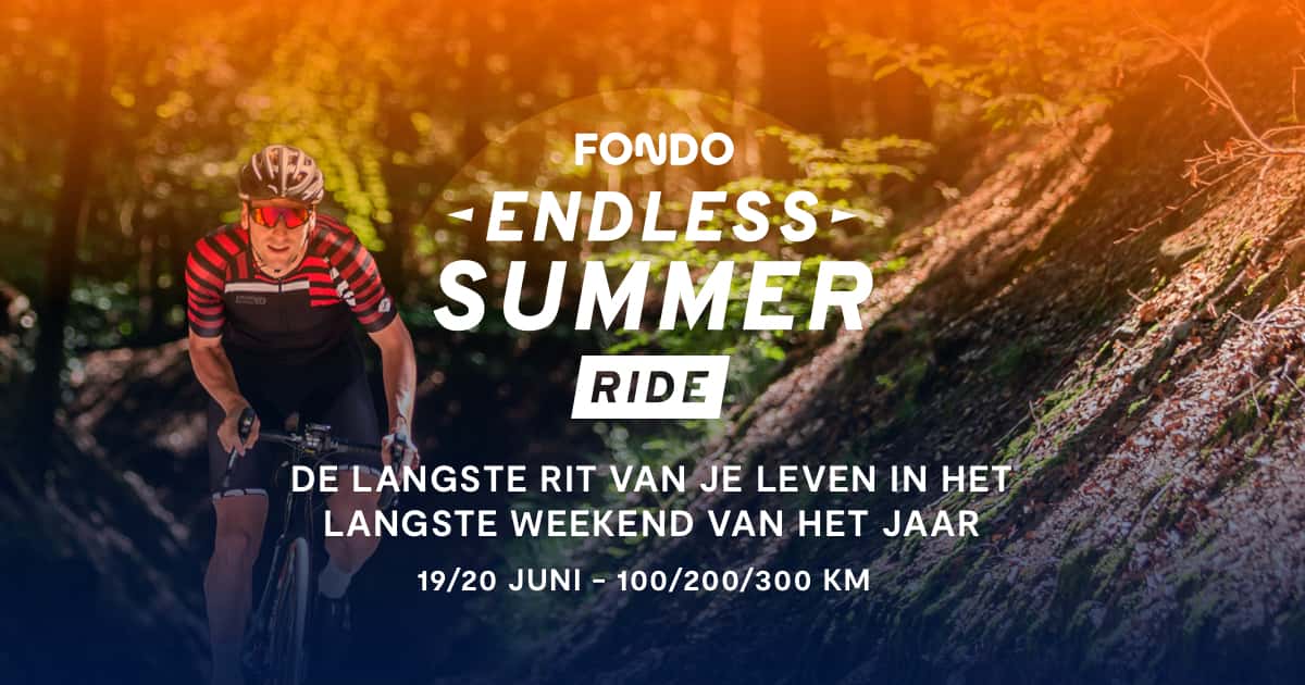 fondo endless summer promo banner