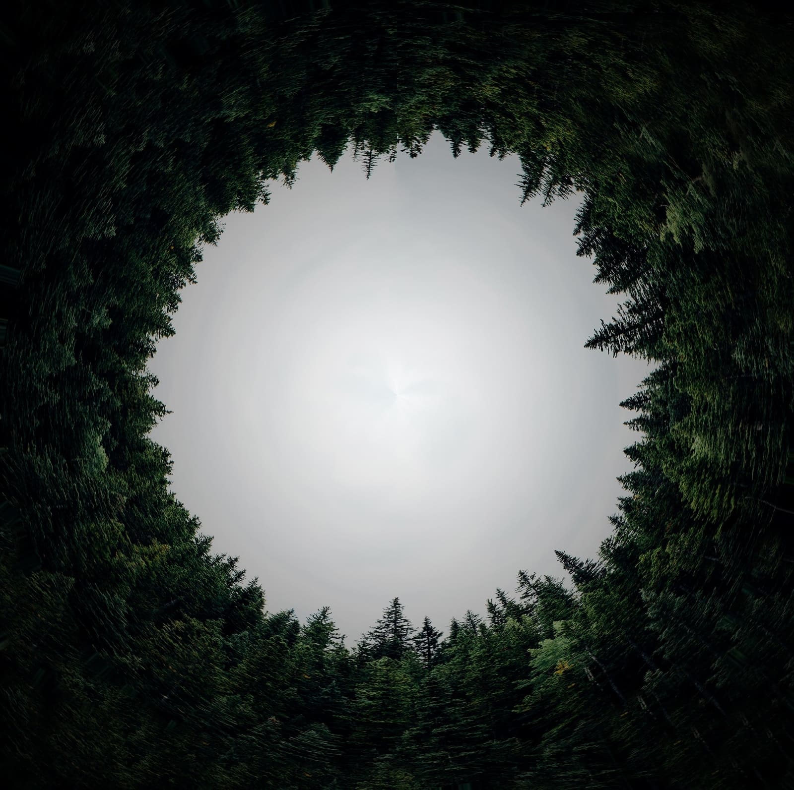 Closing Circle - Re-imaginary