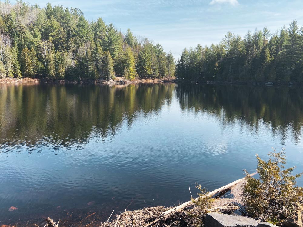 Un lac bleu encadrée d'une belle forêt verte.