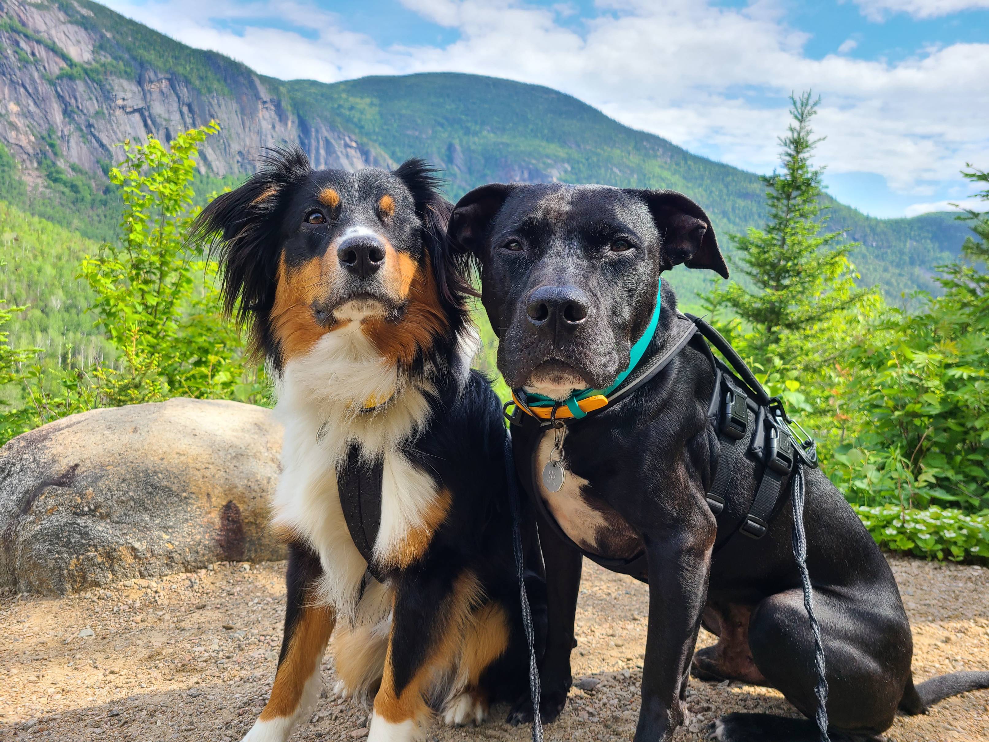 Enzo et Kylo sont assis au point de vue du Yeti. On peut voir des montagnes derrière eux;