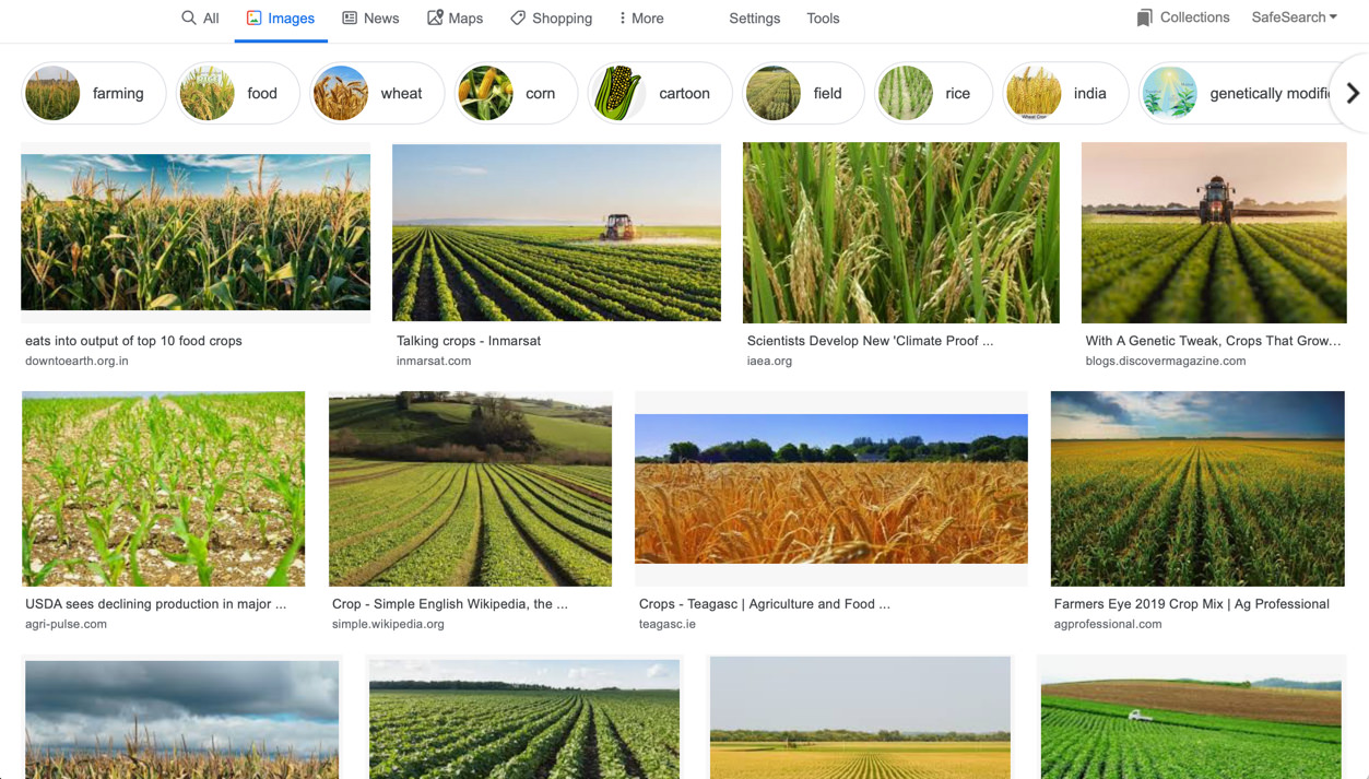 Screenshot of Google Image search results for "crops"
