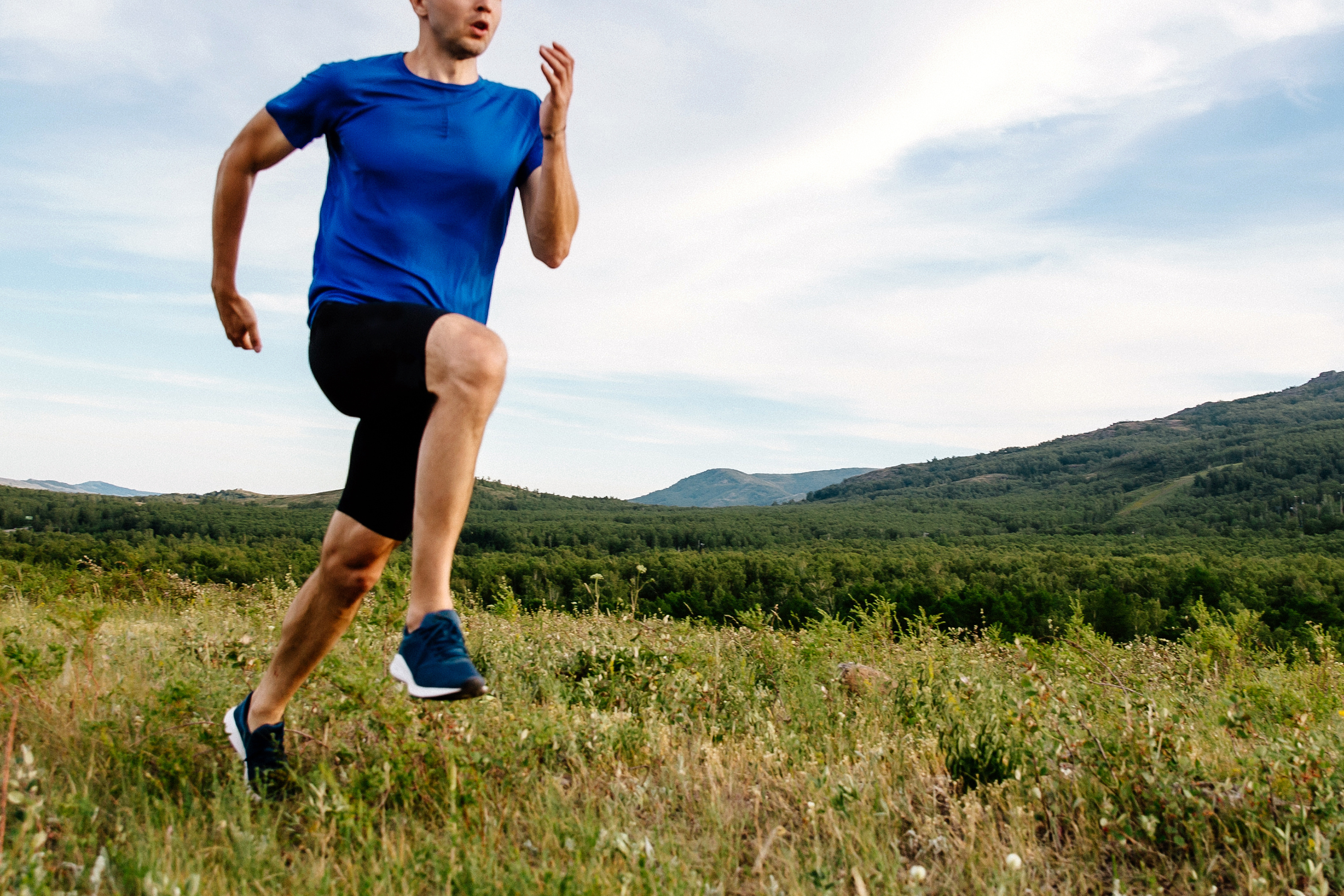 The Secret To A Gazelle'S Lightning Fast Runs - qitkzsz