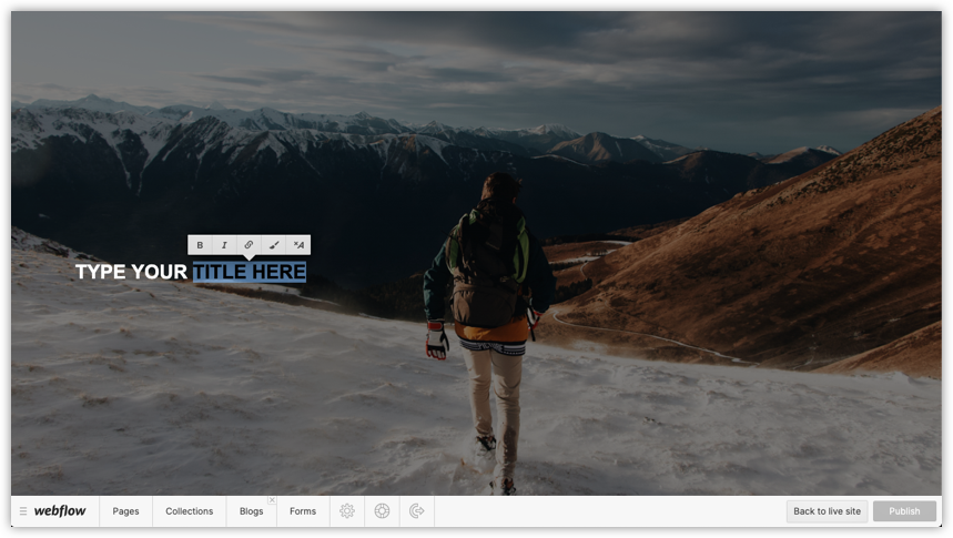 Webflow CMS