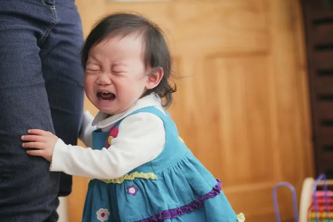 Trẻ 1 tuổi rất bám mẹ
