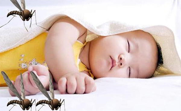 bị côn trùng cắn đi khám ở đâu