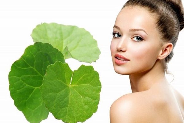 Trị sẹo thâm nhanh chóng nhờ rau má