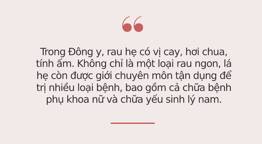 Lương y tiết lộ '1 loại thịt - 2 loại rau' ĐẠI BỔ: Nếu chăm nấu thì cả vợ lẫn chồng đều nhận hiệu quả tích cực cho sinh lý, giúp 'chuyện yêu' thăng hoa bất ngờ - 3