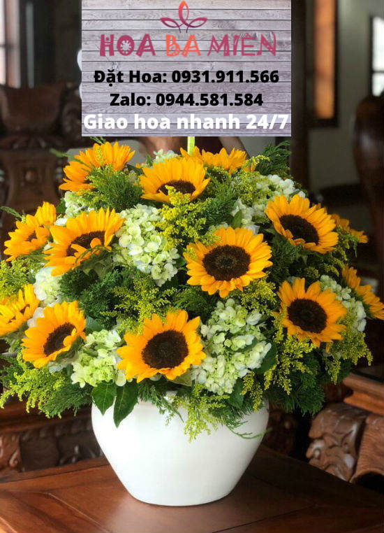 Hoa Sinh Nhật 9065