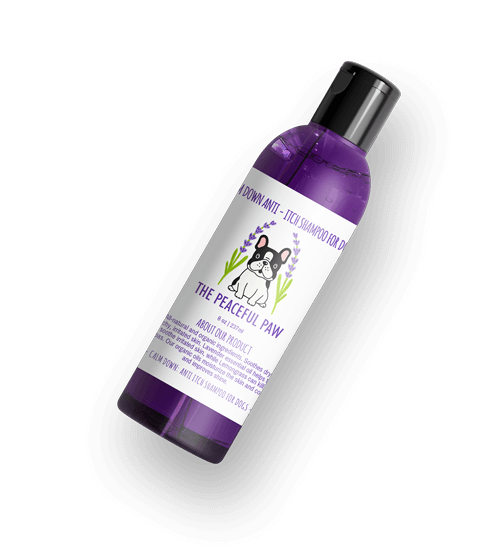 Conditioning Shampoo
