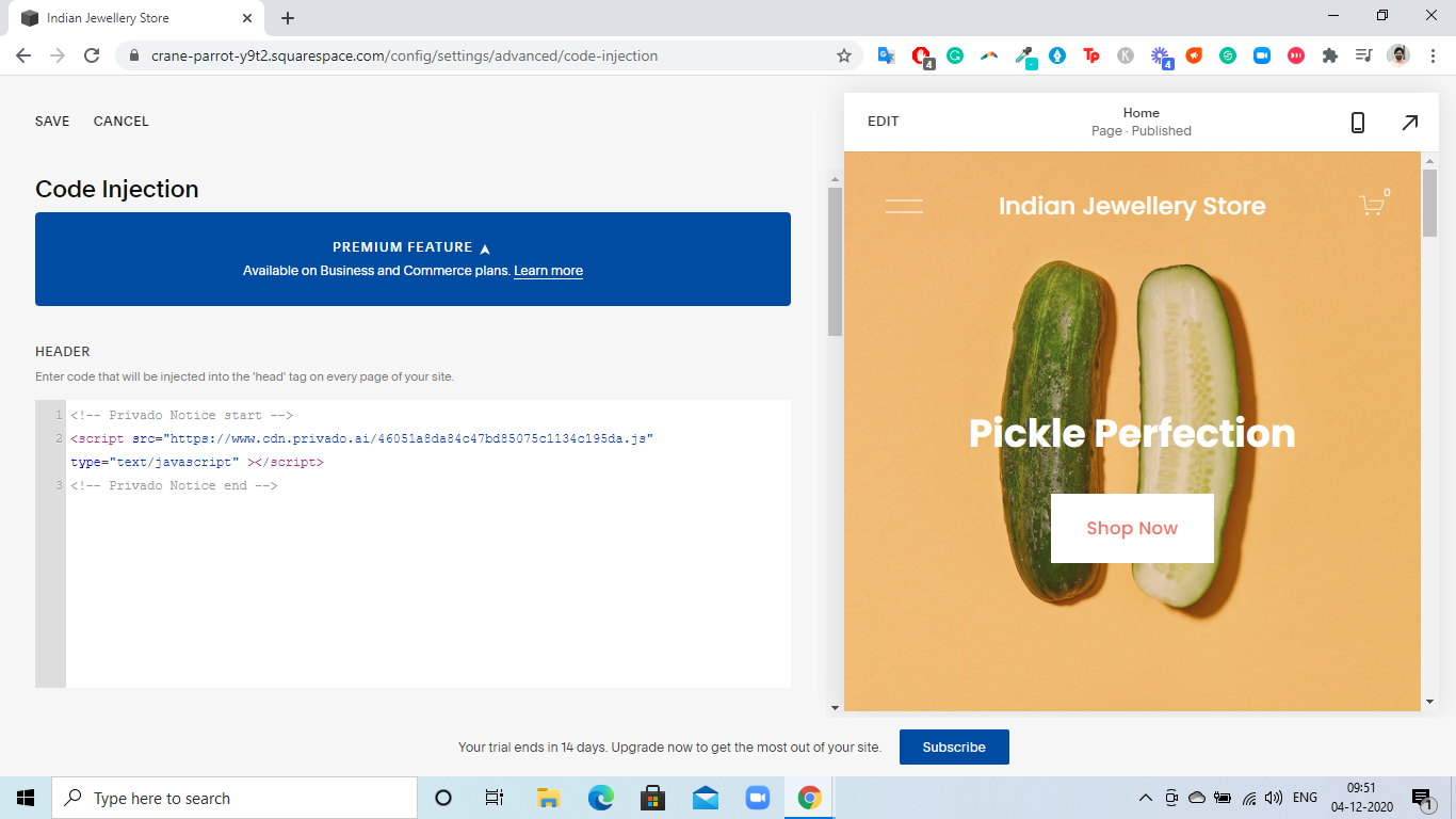 Cookie consent javascript code in Squarespace