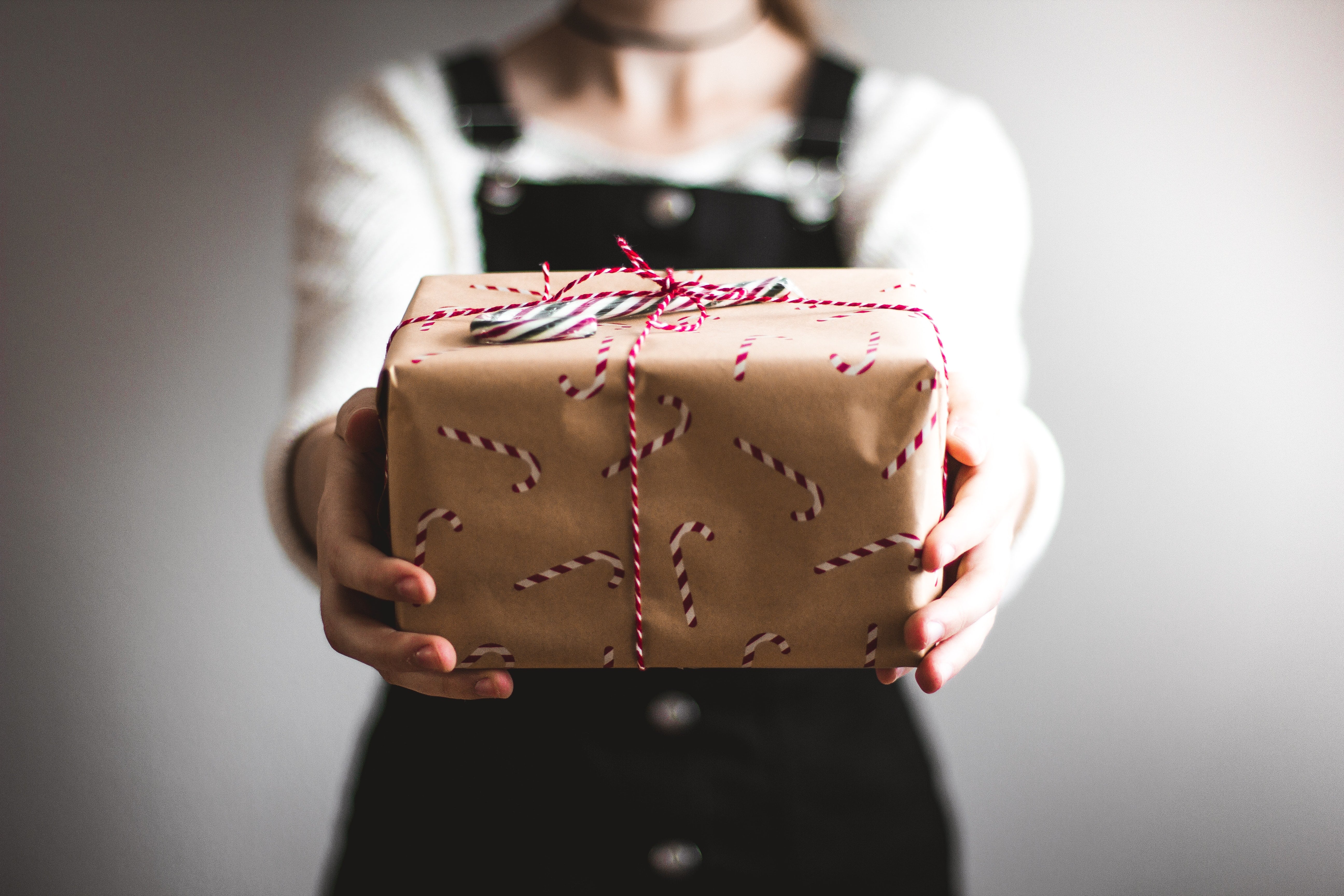 Holiday Gift Guide
