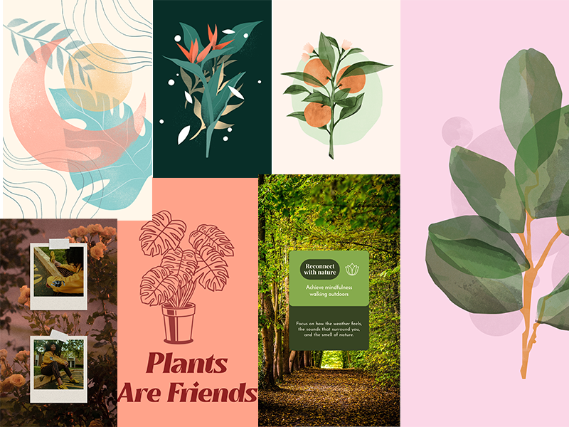 Botanical Art