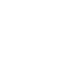 Icoon Data