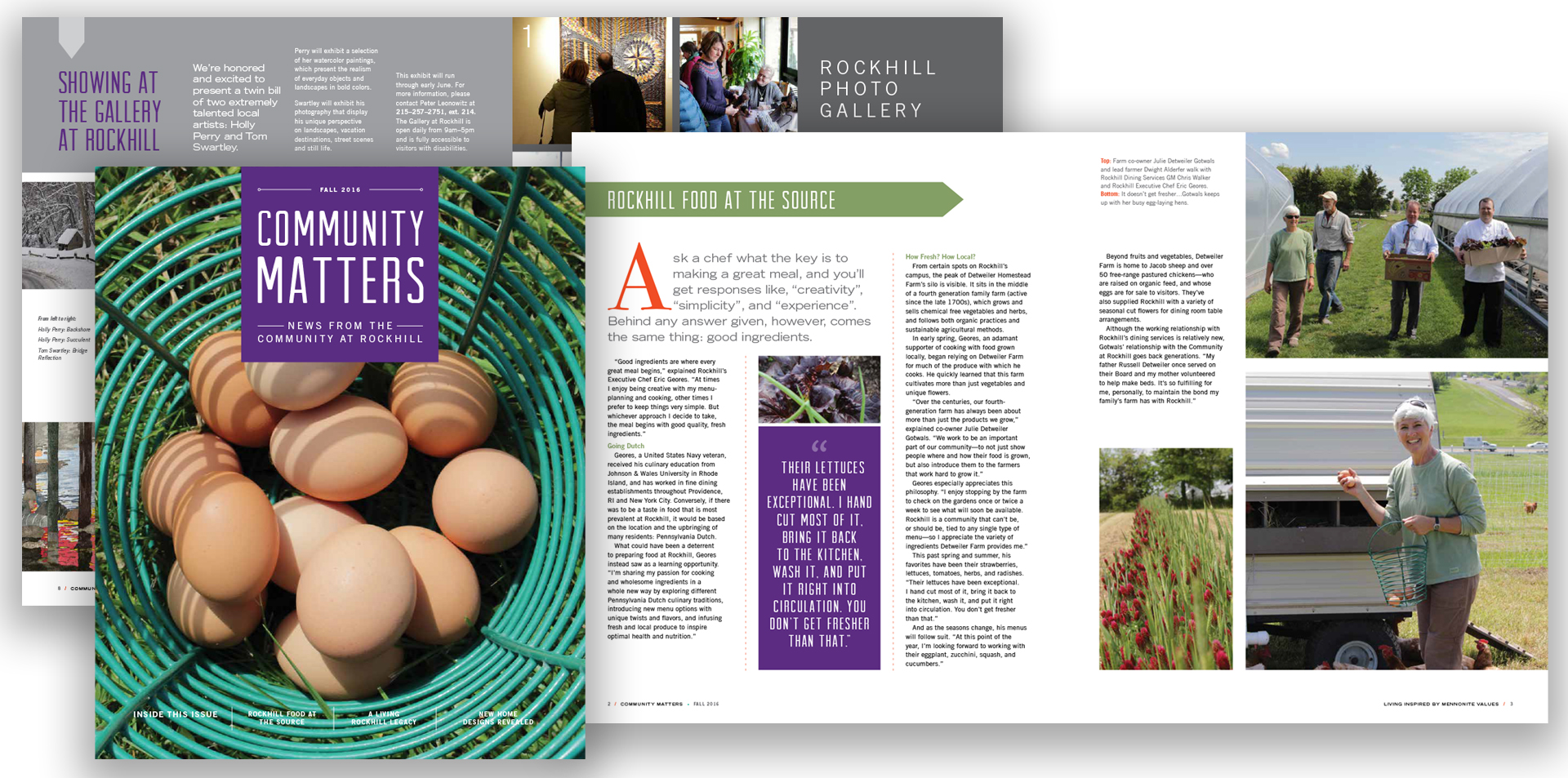 The Community at Rockhill Strategy & Branding Leapfrog Group