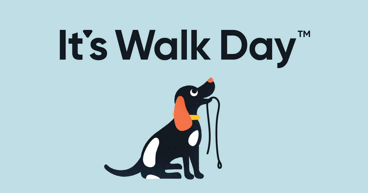 It's Walk Day Professional Dog Walking in Auckland