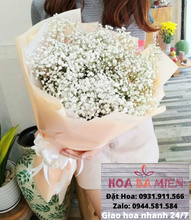 Hoa Sinh Nhật 9017