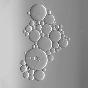 cell