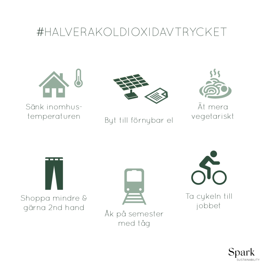 Picture showing a few tips on a sustainable lifestyle (biking, renewable energy, vegetarian food)