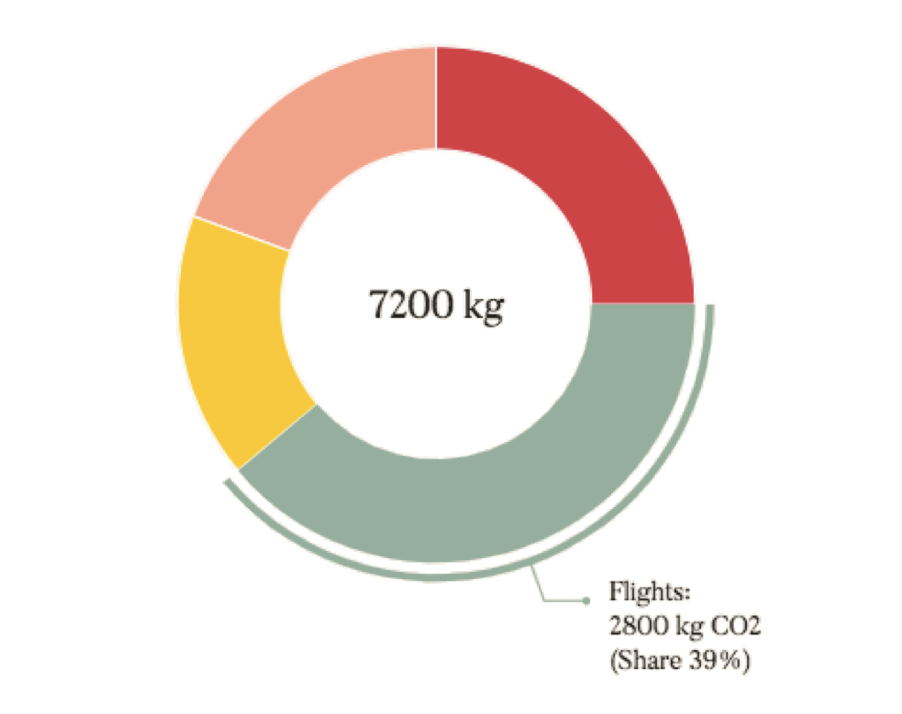 Graphic design of the carbon donut – The result of Spark Sustainability's carbon calculator. 