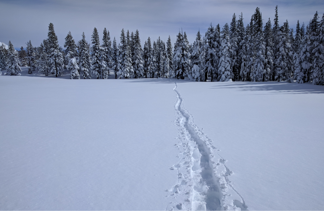 5 Snowshoe Adventures Near Seattle