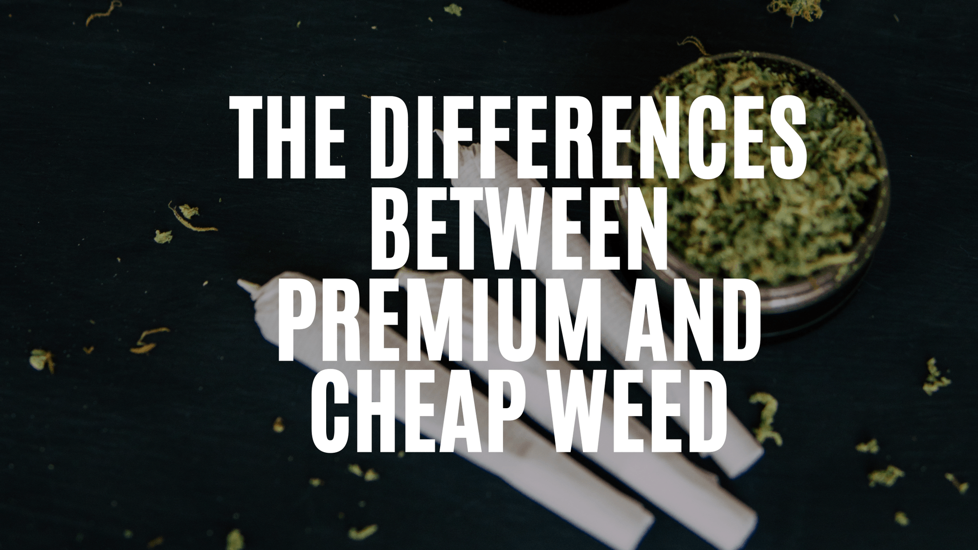 The Differences Between Premium And Cheap Weed ARCannabis