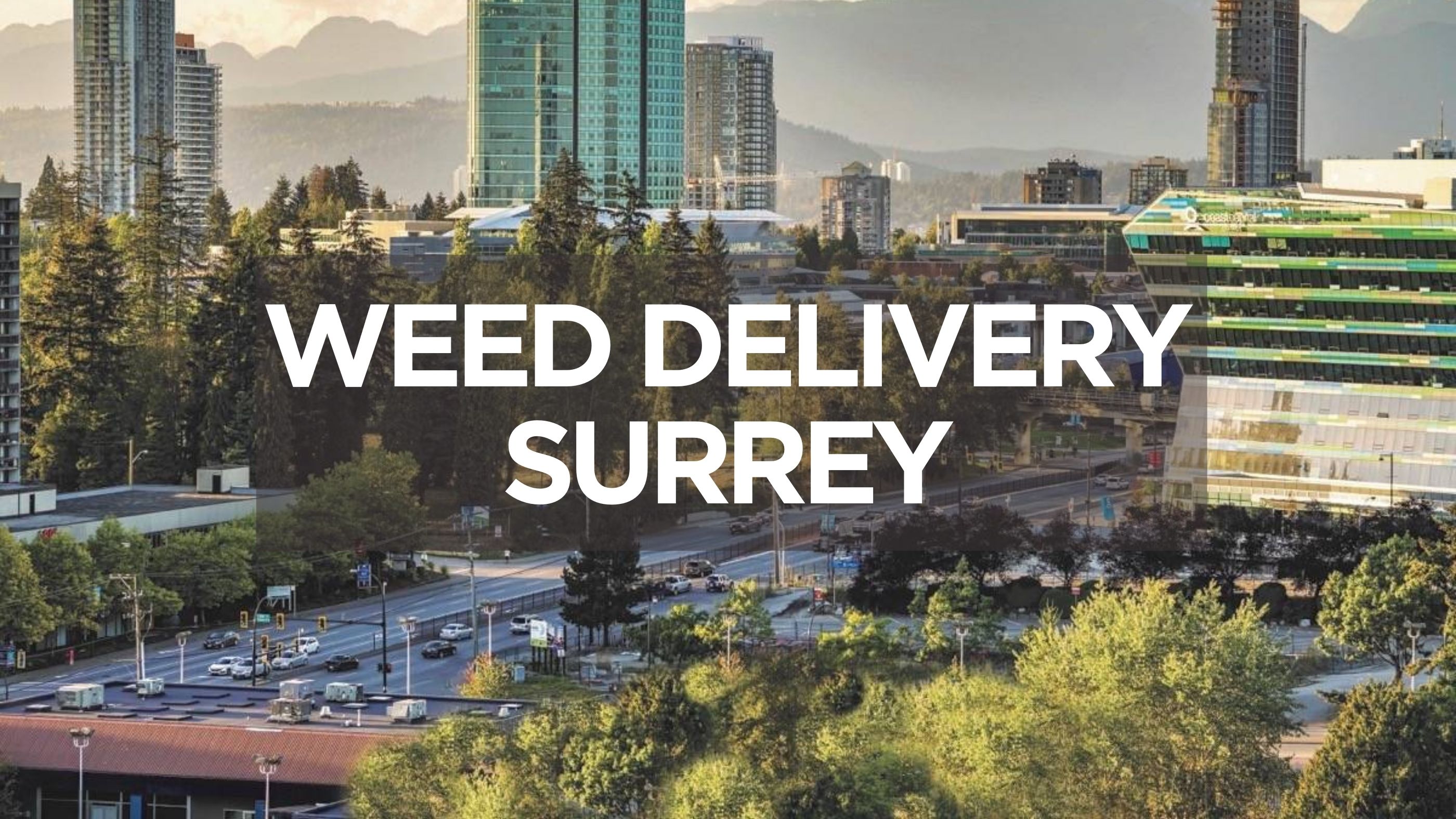 Weed Delivery Surrey