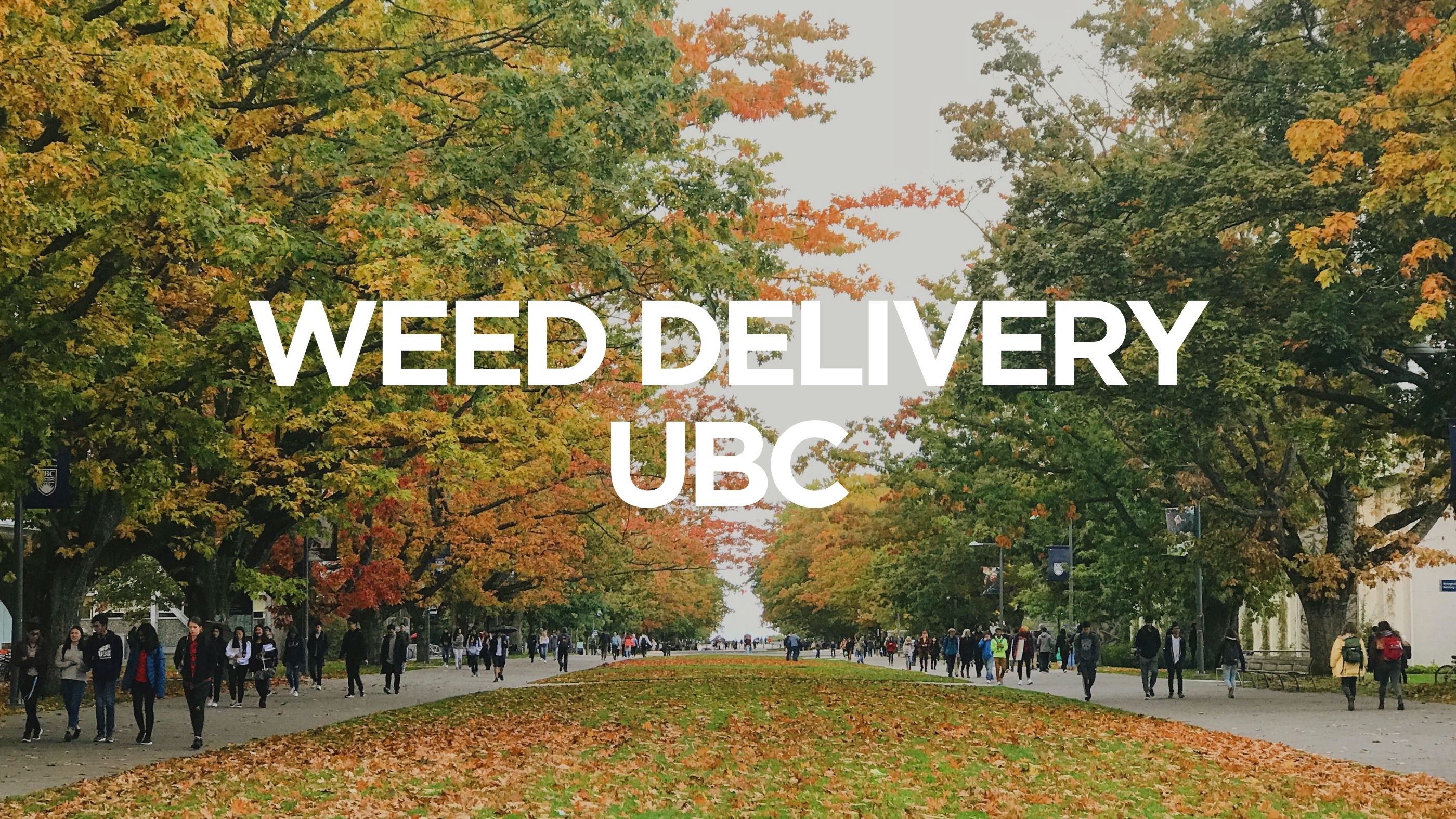 Weed Delivery UBC