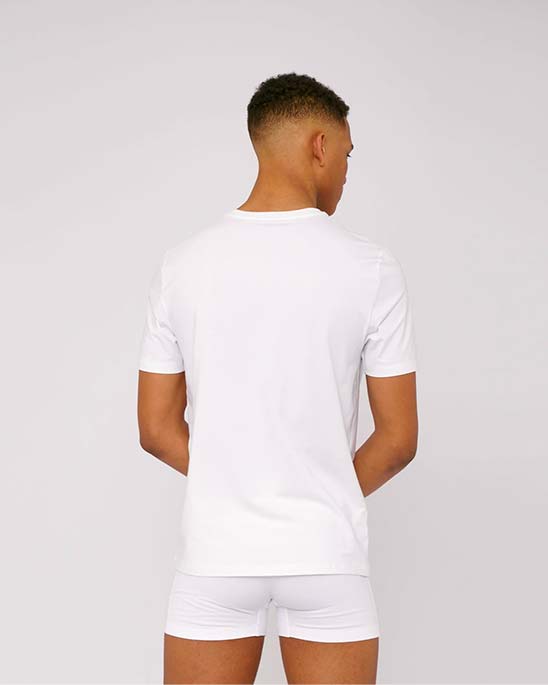 Organic Basics — Mens organic t-shirt