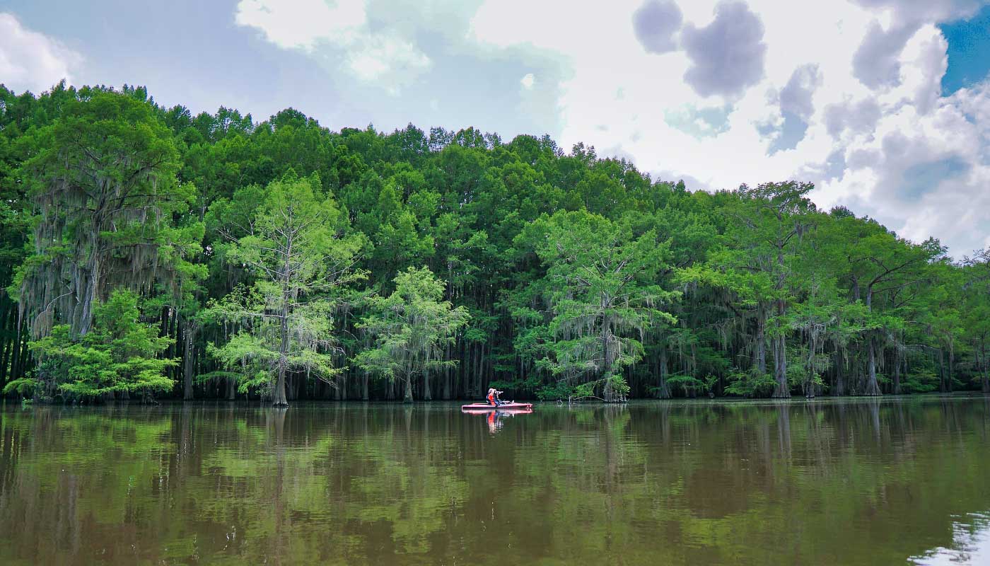 Person canoeing on Caddo Lake in Texas