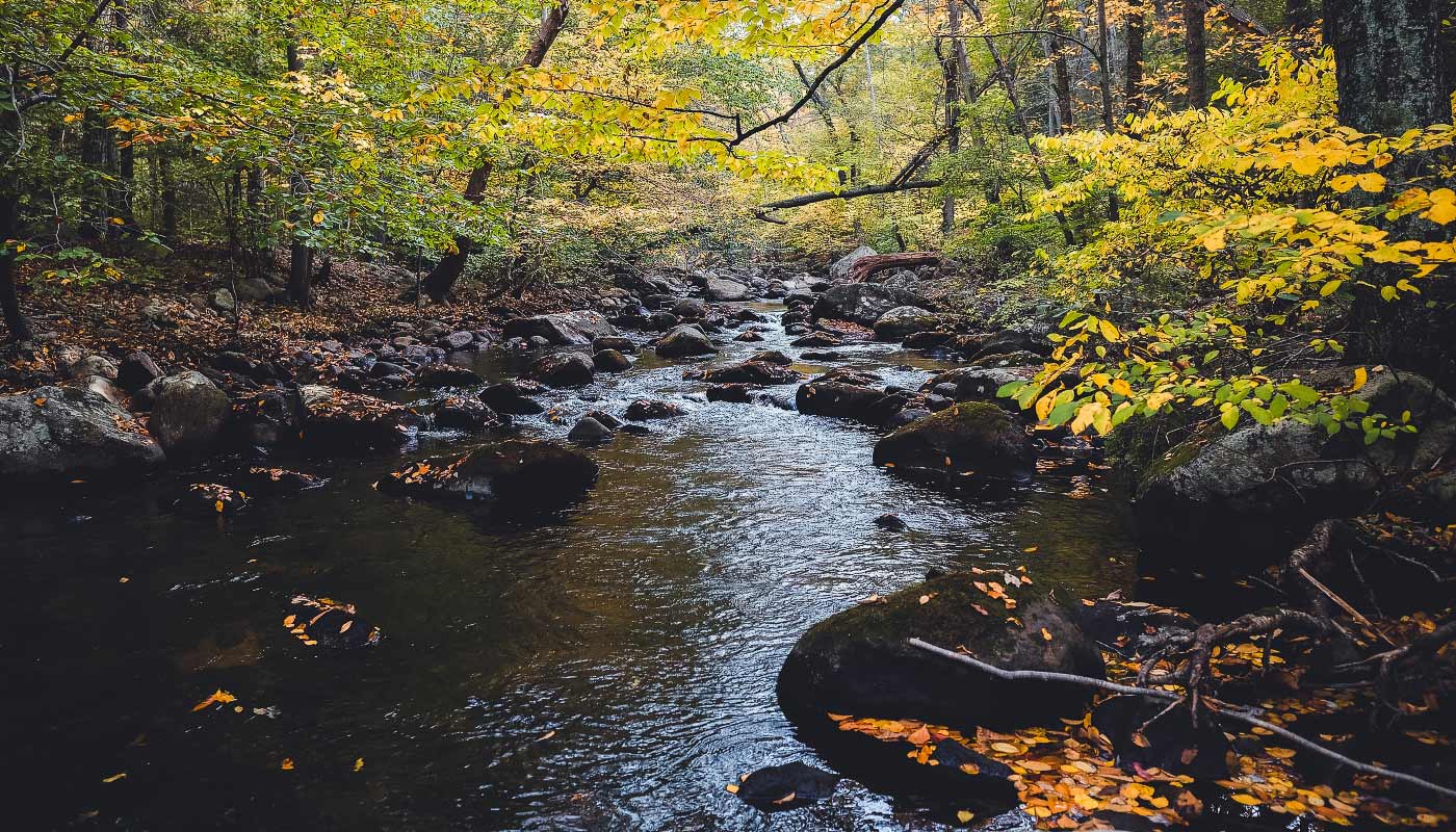 Harriman State Park in Idaho