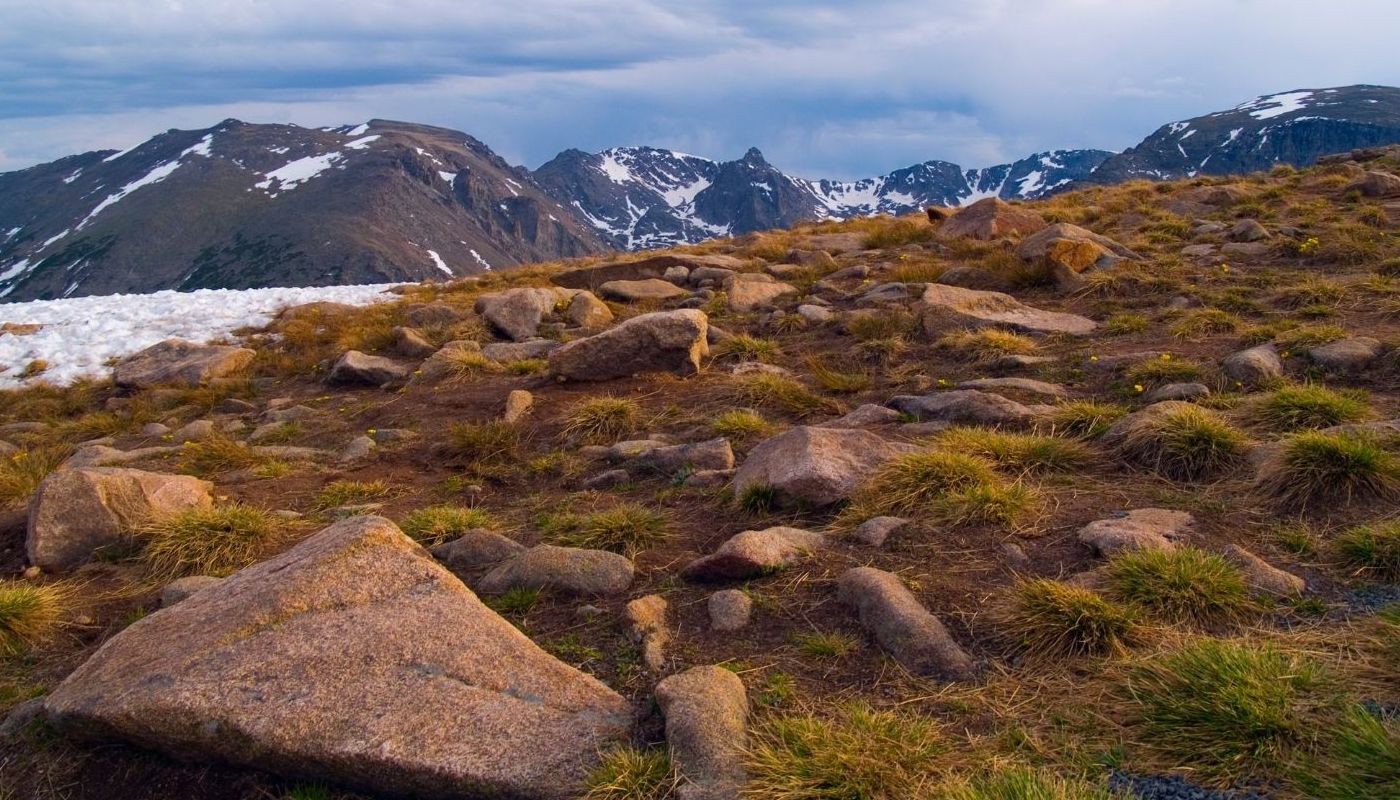 Alpine tundra in Rocky Mountain National Park.