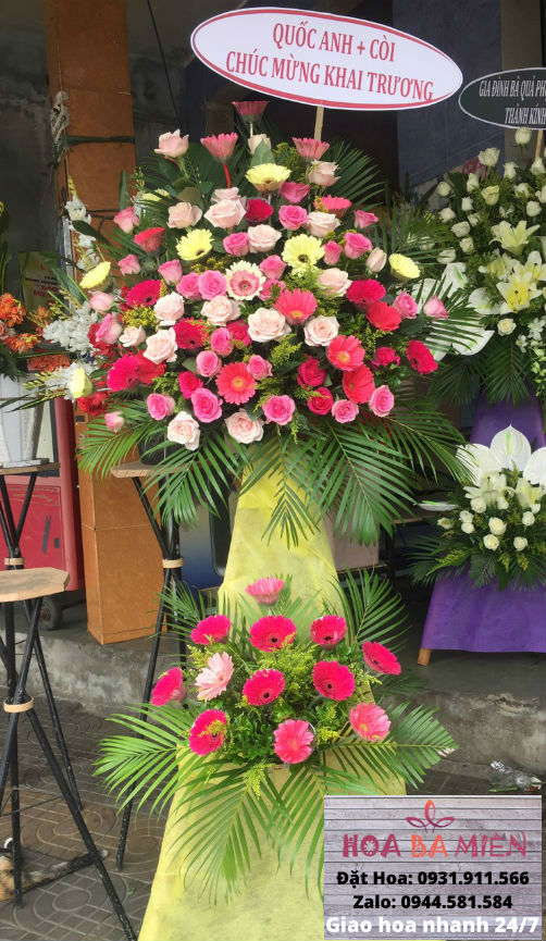 Hoa Khai Trương 56