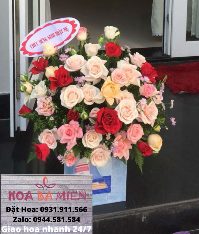 Hoa Sinh Nhật 9050