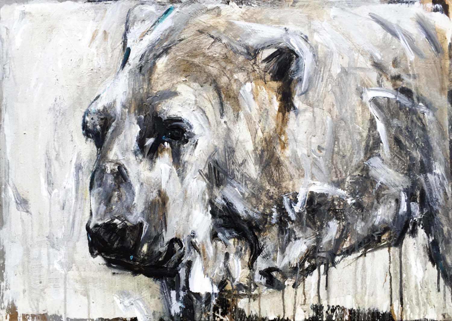 Polar Bear 25